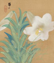 Lily and Bud
