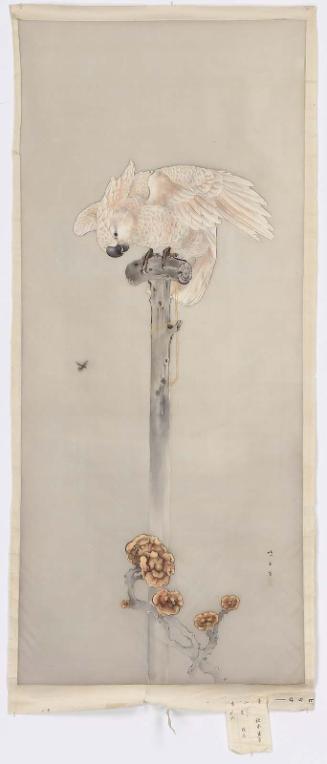 Cockatoo on a  Perch