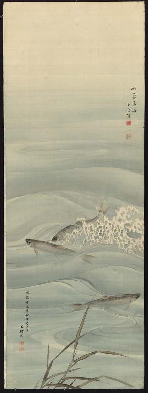 Fish in the Water