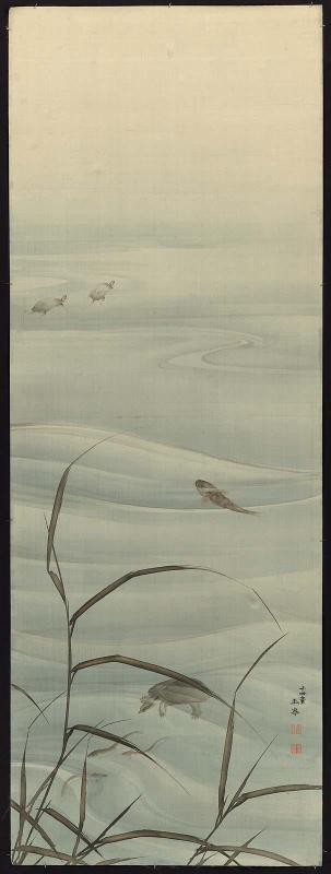 Fish in the Water