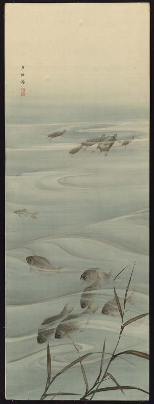 Fish in the Water