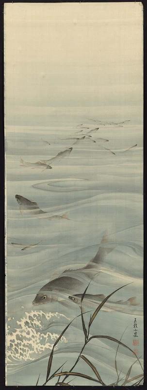 Fish in the Water