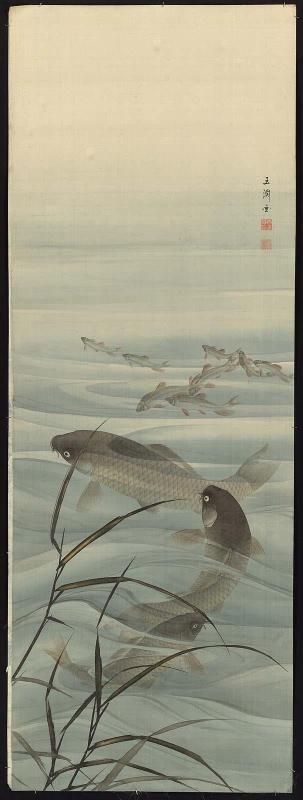 Fish in the Water