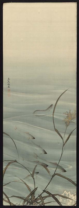 Fish in the Water