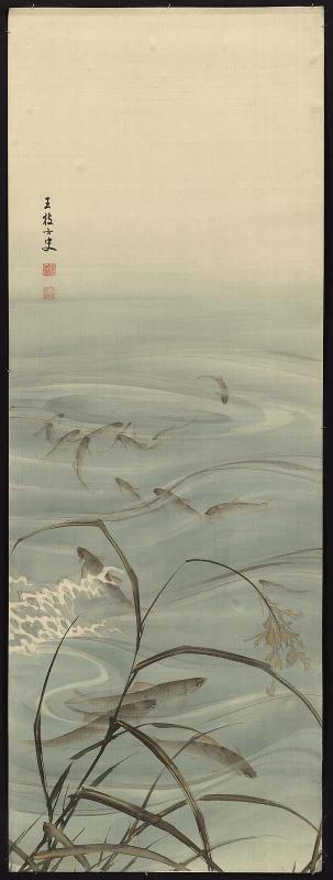 Fish in the Water
