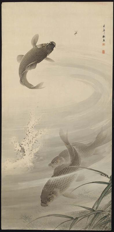 Carp