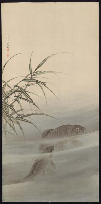 Carp
