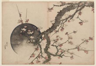 Plum Blossoms and Moon, from the album Fuji in Spring (Haru no Fuji)