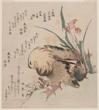 Mandarin Ducks and Iris, from the series Series of Seven Bird-and-Flower Prints for the Fuyô Circle of Kanuma in Shimotsuke Province (Yamagawa Shimotsuke Kanuma Fuyô-ren kachô nanaban tsuzuki no uchi)