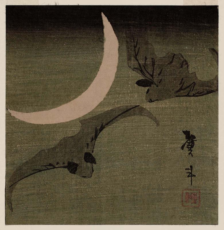 Bats and Moon