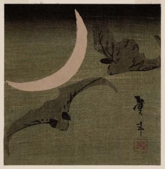 Bats and Moon