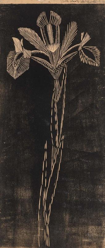 Iris