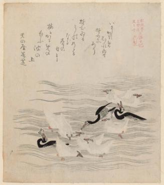 Cormorants and Seagulls, from the series The Tosa Diary for Shôfûdai, Hisakataya and Bunbunsha (Shôfûdai Hisakataya Bunbunsha Tosa nikki)