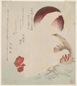 Cock, Hen and Rising Sun, from the series Series of Seven Bird-and-Flower Prints for the Fuyô Circle of Kanuma in Shimotsuke Province (Yamagawa Shimotsuke Kanuma Fuyô-ren kachô nana bantsuzuki no uchi)