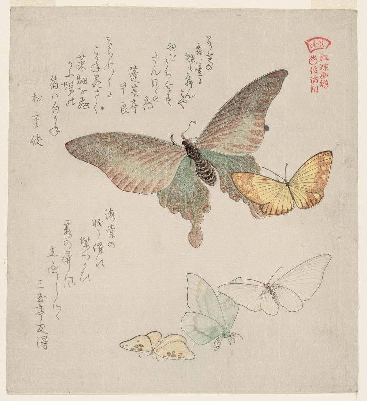 Moths and Butterflies, from the series A Picturebook of Butterflies (Gunchô gafu)