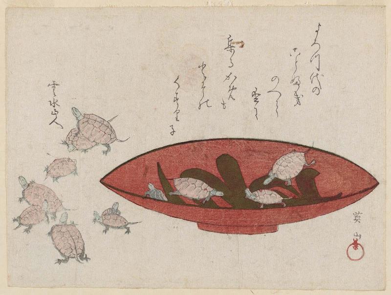 Turtles and Sake Cup