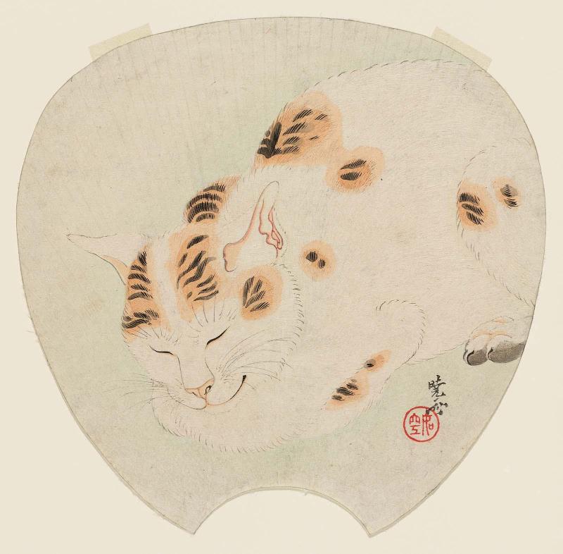 Sleeping Cat