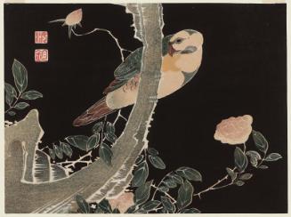 Rose and Parrakeet, from a set of reproductions of rubbing prints (taku-hon, ishizuri-e)