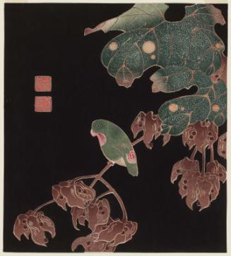 Blue-crowned Hanging Parrot  on Branch of Chinese Parasol Tree, from a set of reproductions of rubbing prints (taku-hon, ishizuri-e)