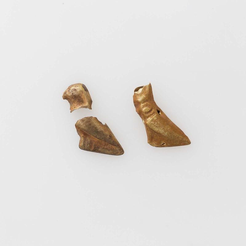 Group shot: 11.2644, 11.2651