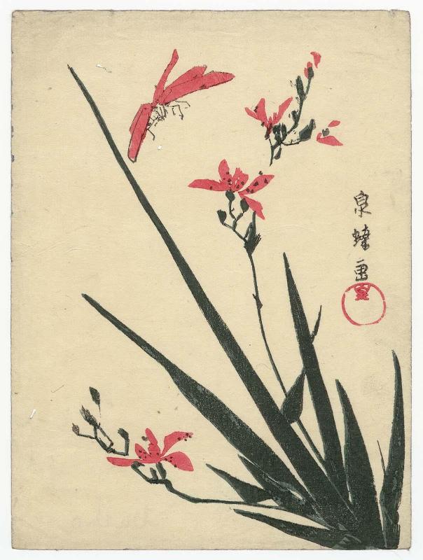 Dragonfly and Orchids