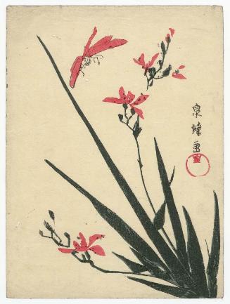Dragonfly and Orchids