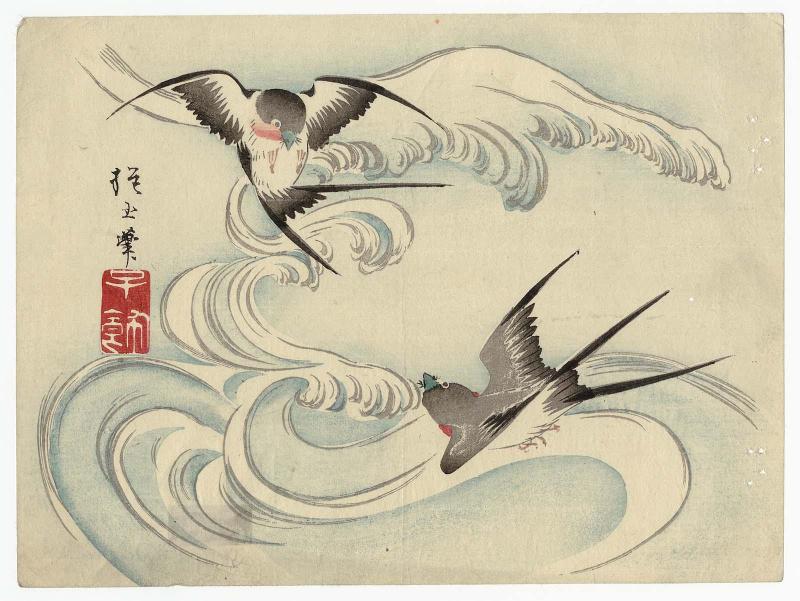 Swallows and Waves
