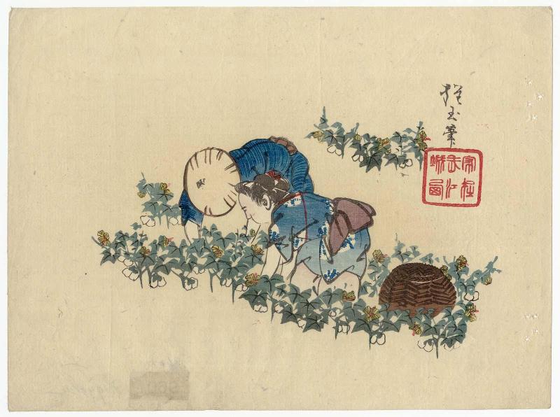 Women Harvesting Safflowers