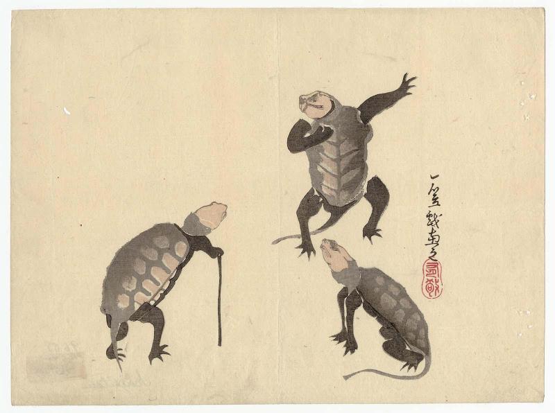 Anthropomorphic Turtles