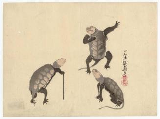 Anthropomorphic Turtles