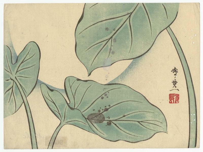 Lotus Leaves in Moonlight