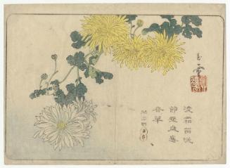 Chrysanthemums, from the album Shoga jô
