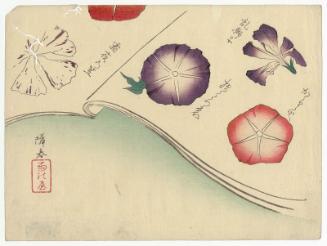 Open Pages from a Picture Book of Flowers