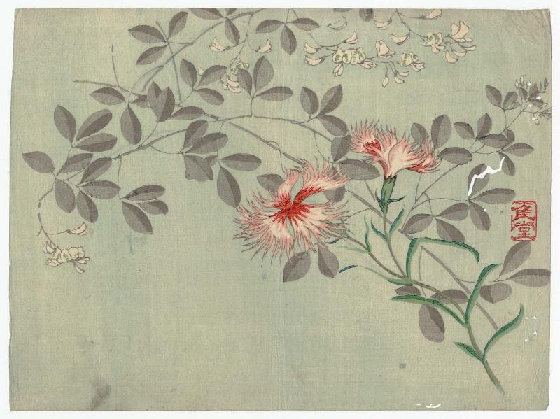 Lespedeza and Wild Carnations