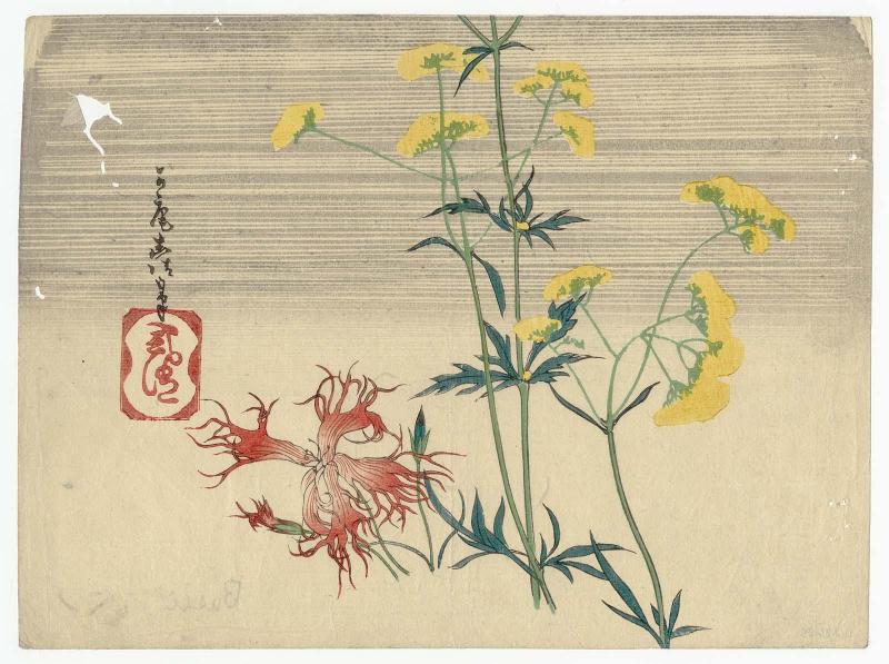 Patrinia and WIld Carnations