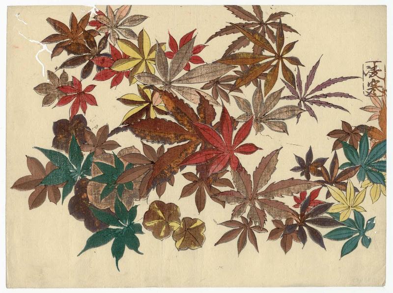 Autumn Leaves
