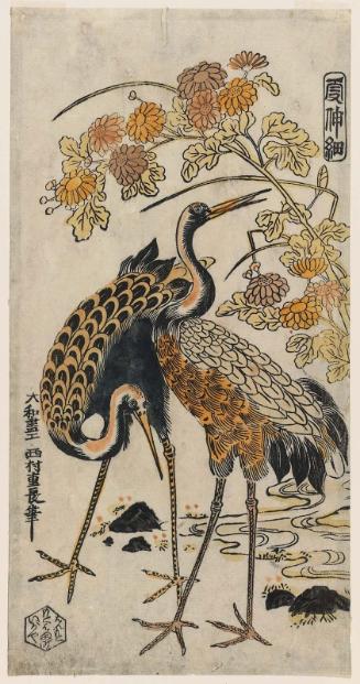 Cranes and Chrysanthemums, from a bird-and-flower series with the title Kashinsai (?)