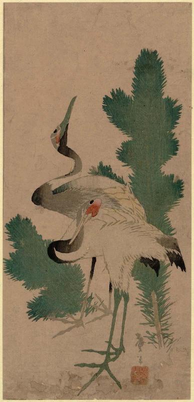 Cranes and Pine Shoots