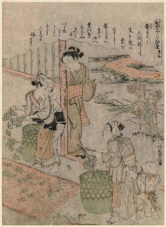 No. 5, from the series Silkworm Cultivation (Kaiko yashinai gusa)