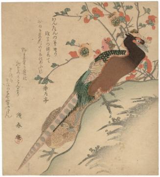 Pheasants by a Flowering Bush