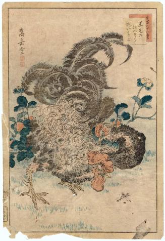No. 11, Curly-feathered Chickens and Wild Strawberries (Sakage no niwatori hebi ichigo), from the series Forty-eight Hawks Drawn from Life (Ikiutsushi shijûhachi taka)