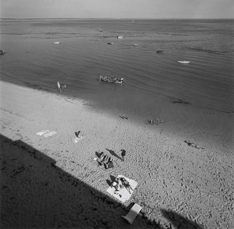 Cape Cod