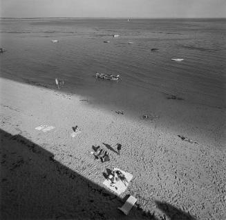 Cape Cod