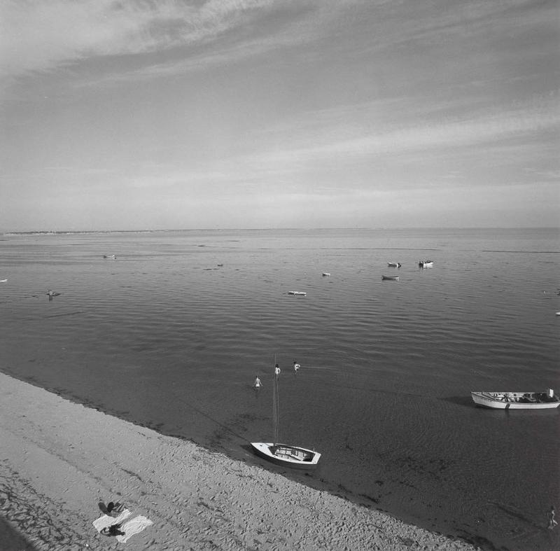 Cape Cod