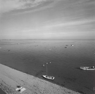 Cape Cod