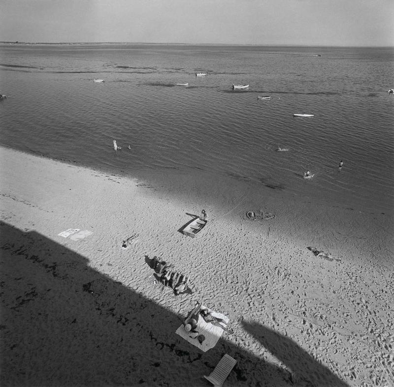 Cape Cod