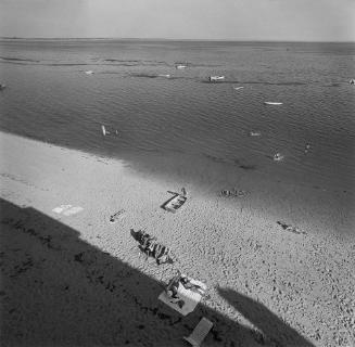 Cape Cod