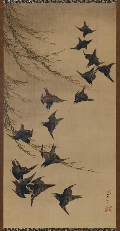 Willow and Crows