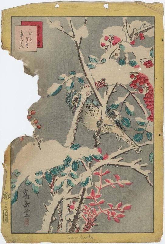 No. 45, Bulbul and Nandina (Hiyodori, nanten), from the series Forty-eight Hawks Drawn from Life (Ikiutsushi shijûhachi taka)
