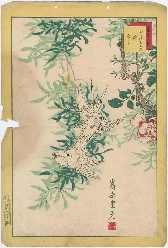 No. 18, White Swallow and Willow Rose (Shiratsubame, yanagibara), from the series Forty-eight Hawks Drawn from Life (Ikiutsushi shijûhachi taka)